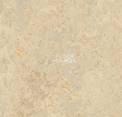 Кварцвиниловые полы Forbo Marmoleum Modular t3120 rosato фото 1 | FLOORDEALER